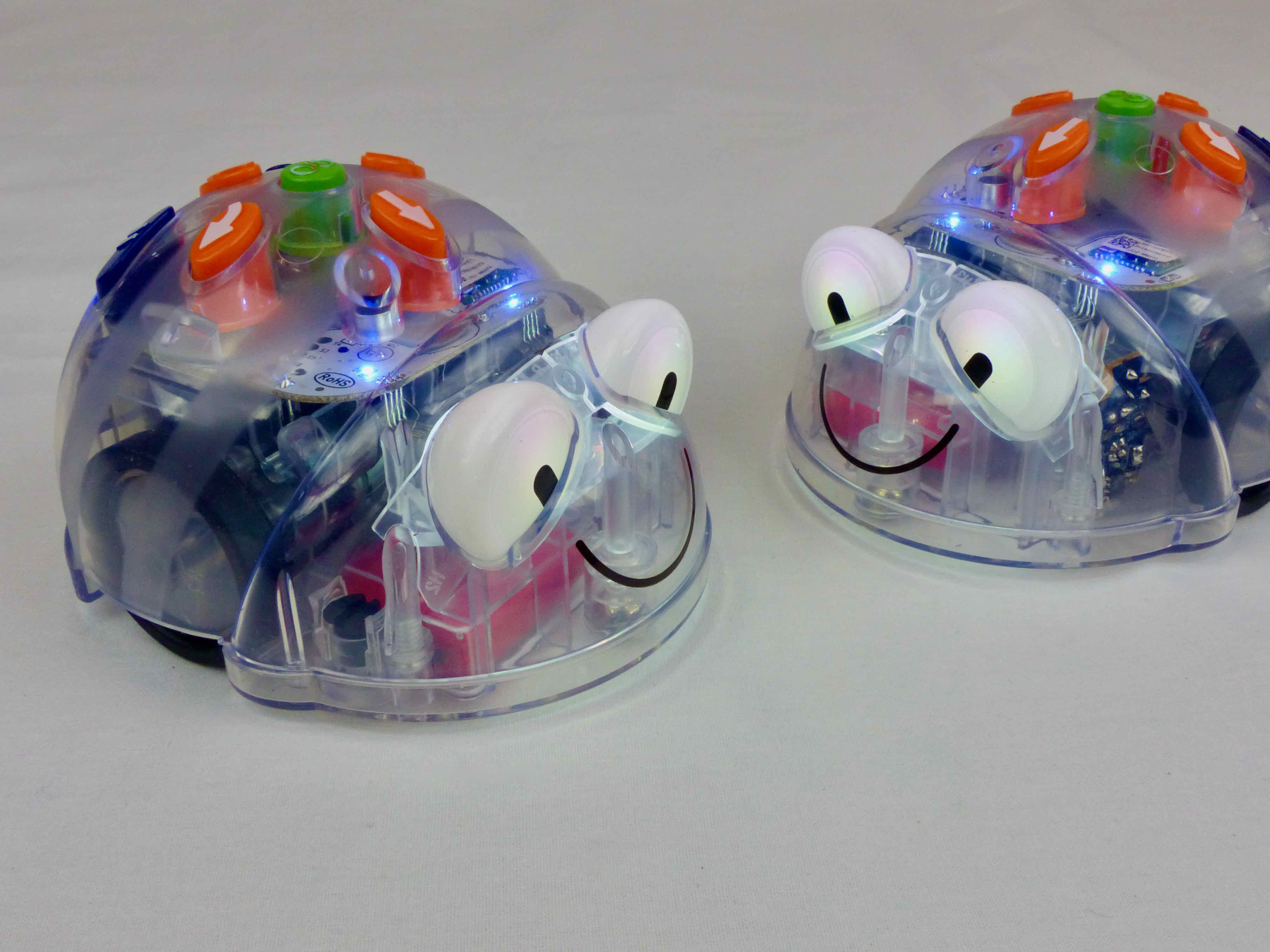 Bluebots Fish Inclusief Programmeeronderwijs | Hogeschool Saxion